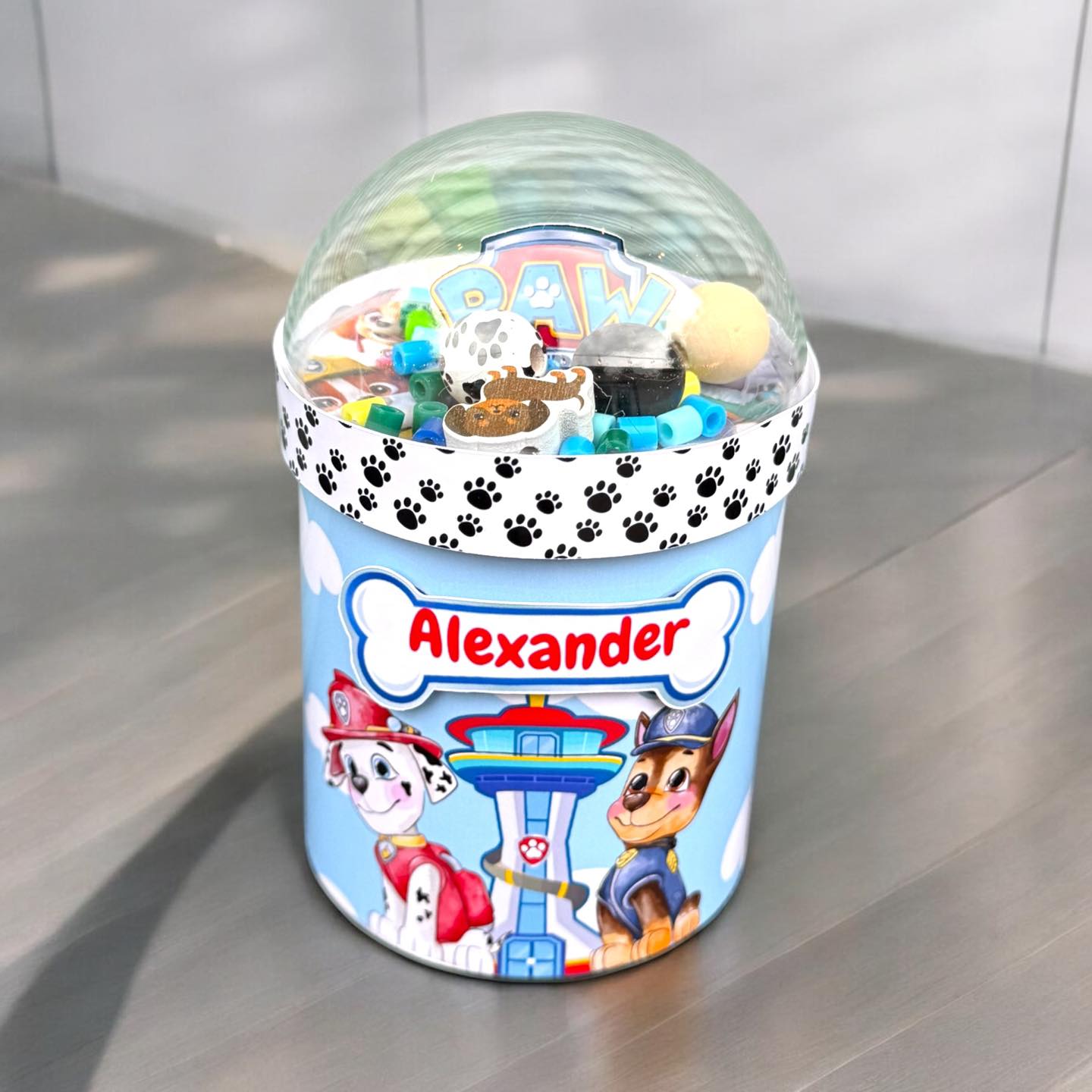 PARTY FAVORS- Potato Chip Can Kids Birthday Party Favors / Custom Picture Favors For Kids / ANY THEME Personalized Favors / Can Shaker Sparkling Favor