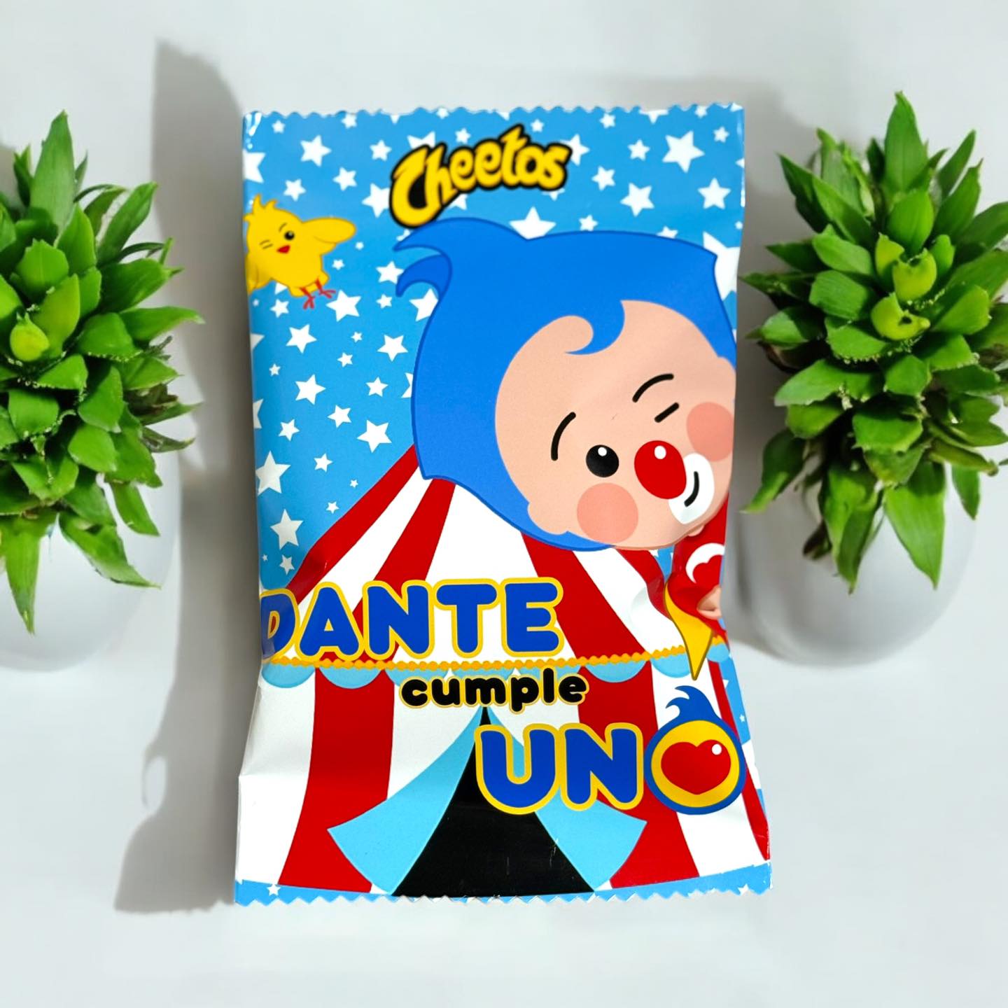 PARTY FAVORS- Custom Chips Bags | Party Favors for Any Event | Any Flavor | Chips Included