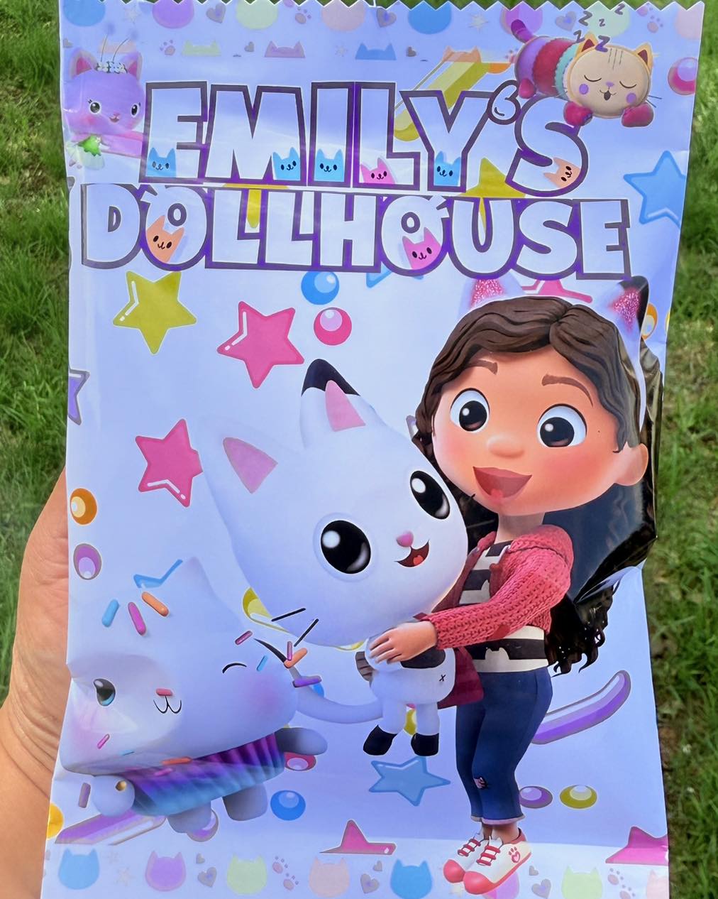 PARTY FAVORS- Custom Chips Bags | Party Favors for Any Event | Any Flavor | Chips Included